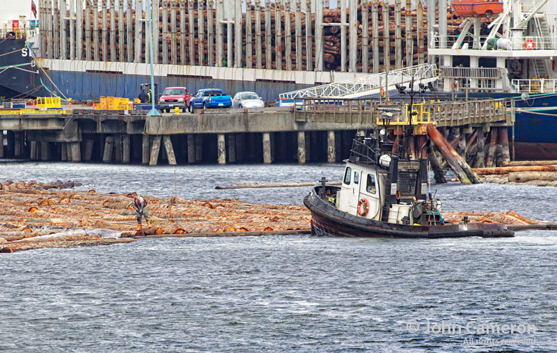 Work at Crofton as seen from the Salt Spring Ferry