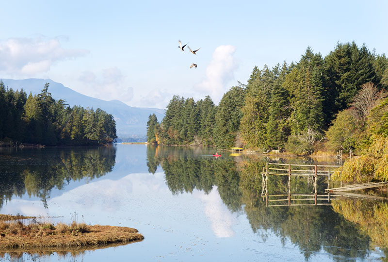 Autumn afternoon on Salt Spring Island