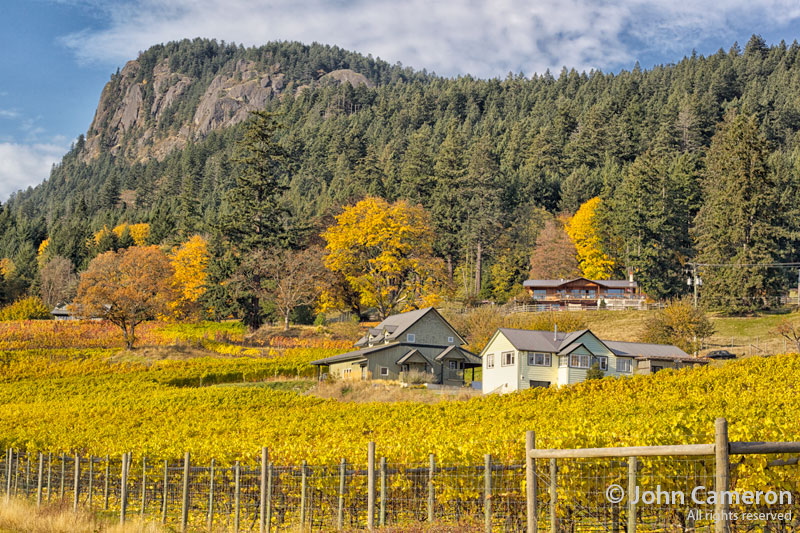 garry oaks winery, salt spring island