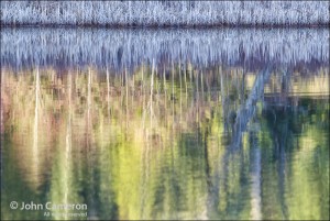 Frosty lake reflection on salt spring island