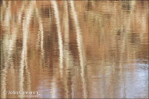 lake reflection on salt spring island