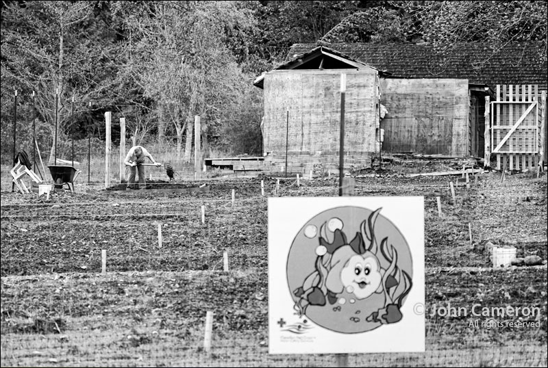 Rainbow Road Park Allotment Gardens