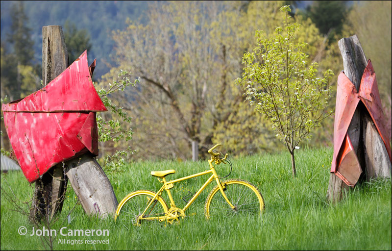 Green Art on Salt Spring