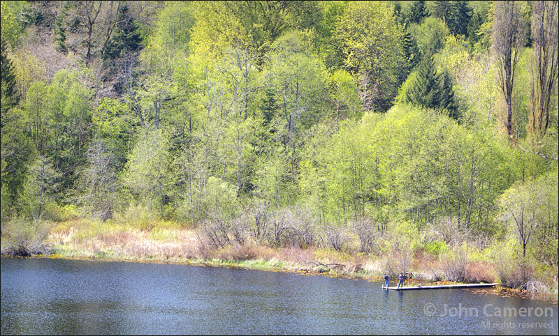 salt spring island lake in spring