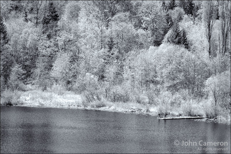 same image but in black and white