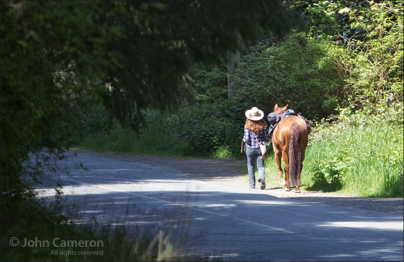 woman walking her horse to town
