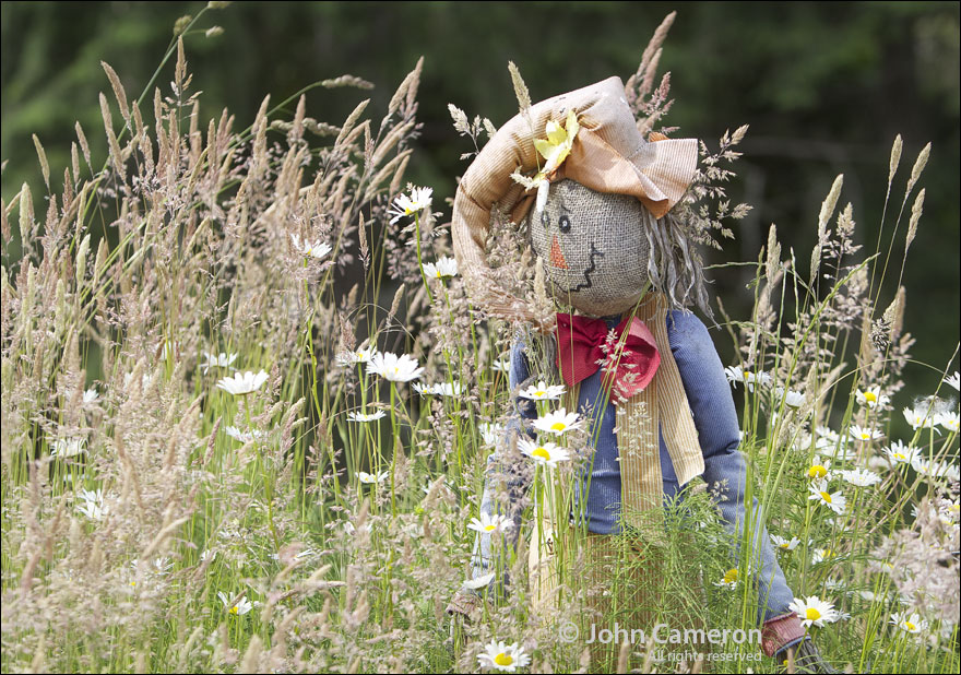 At Salt Spring's Blackburn Mall