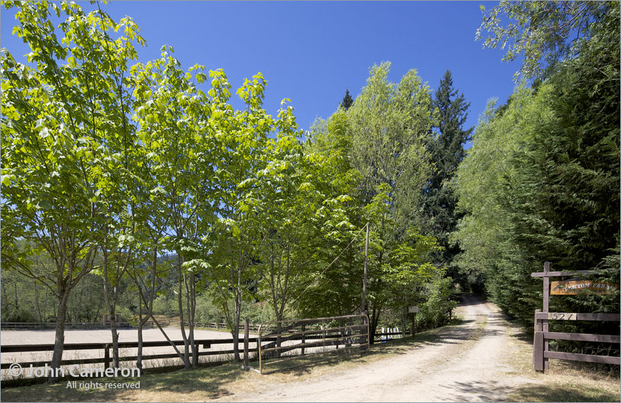 Another quintessential Salt Spring Driveway
