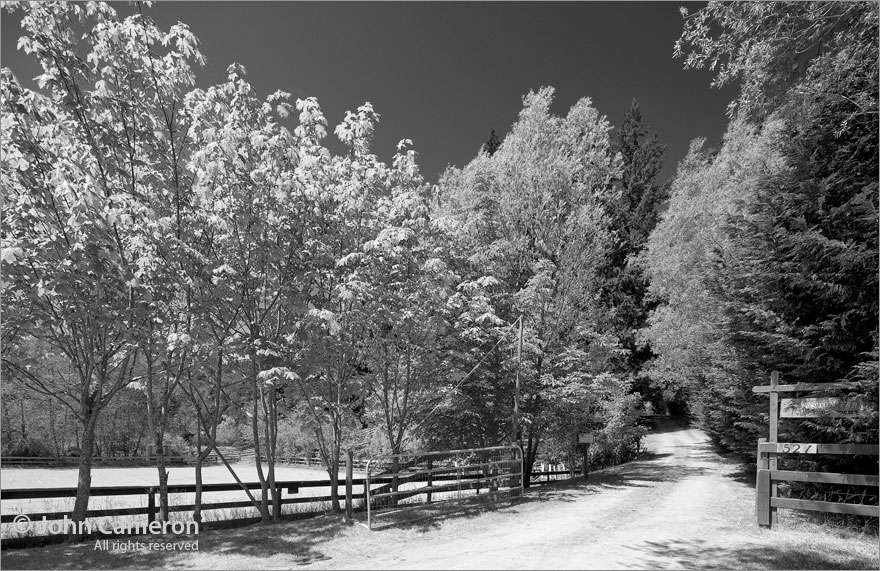 Quintessential Salt Spring Driveway in black and white