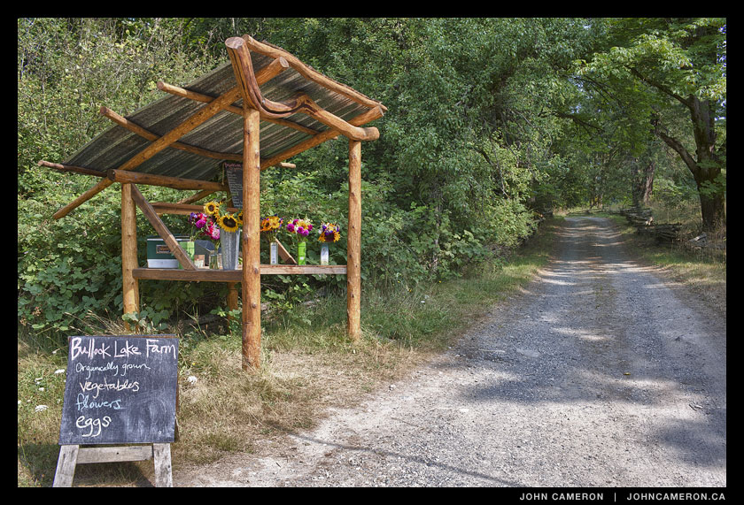Salt Spring Farm Stand