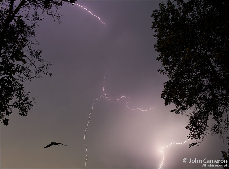 lightning on a salt spring summer night