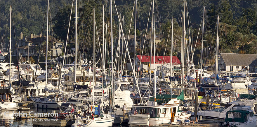 boats at marina on Salt Spring Island