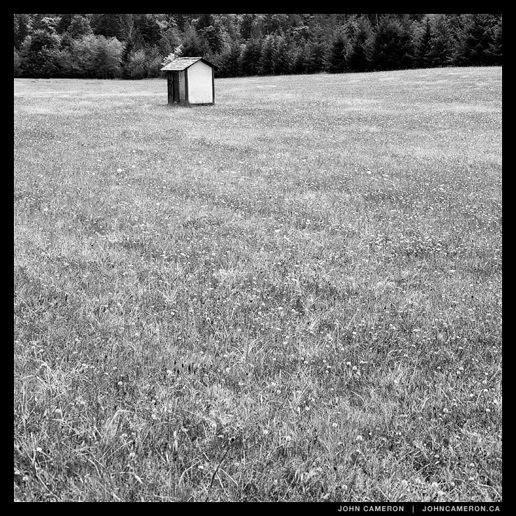 Outstanding in a Salt Spring field