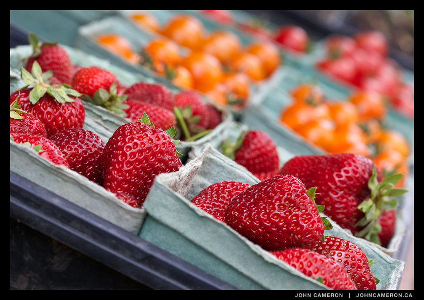 Farm Stand on Rainbow Road