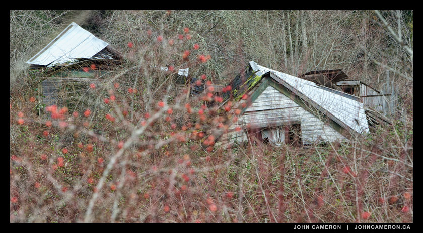 What's Left of Old House