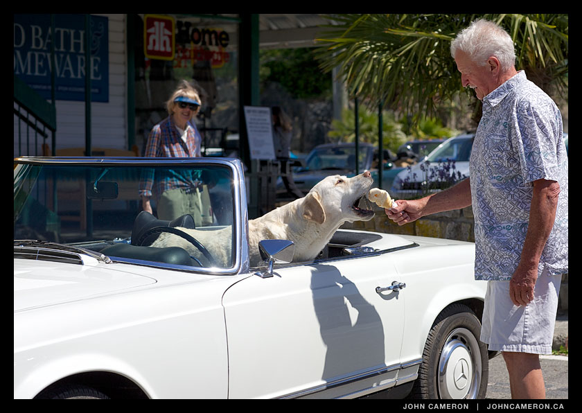 Three Bite Ice Cream