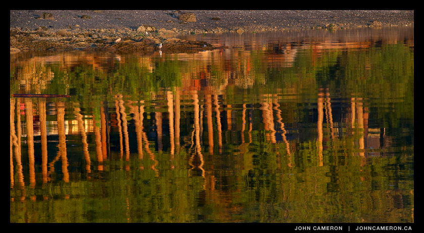Beach and Reflection
