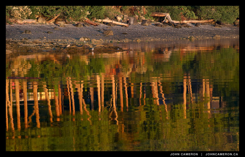 Woman watches the July sunrise from Fernwood Beach