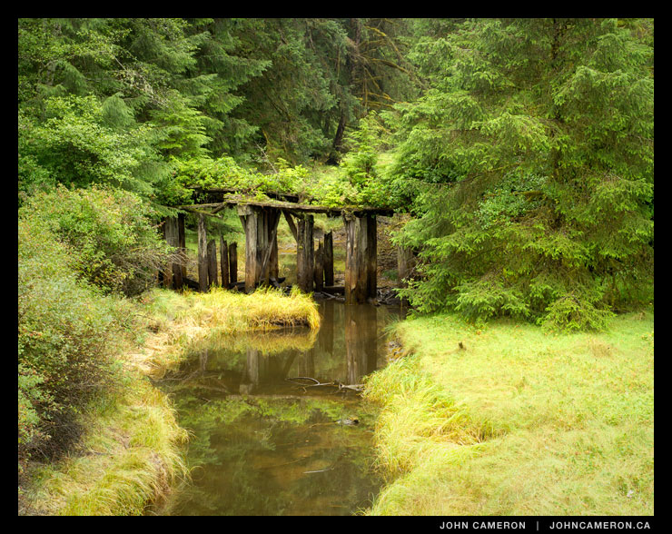 An old bridge in a beautiful British Columbia forest
