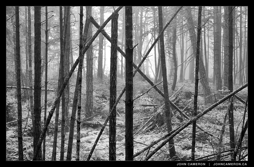 this trail seems to say, do not enter