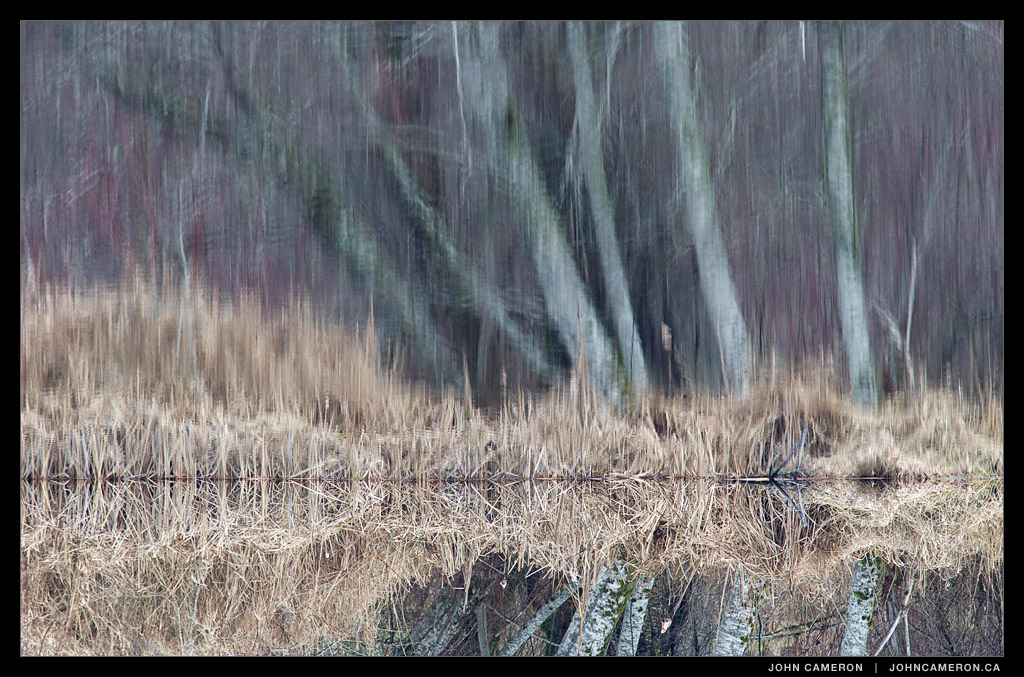 Winter Reflection, Salt Spring Island