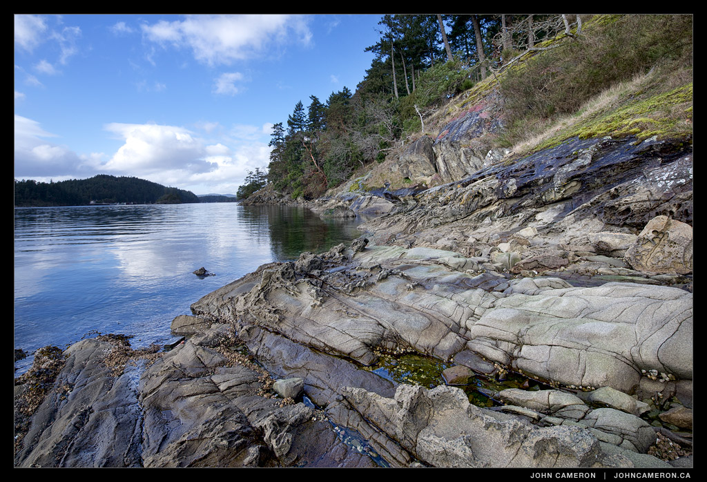 Salt Spring Island Shoreline