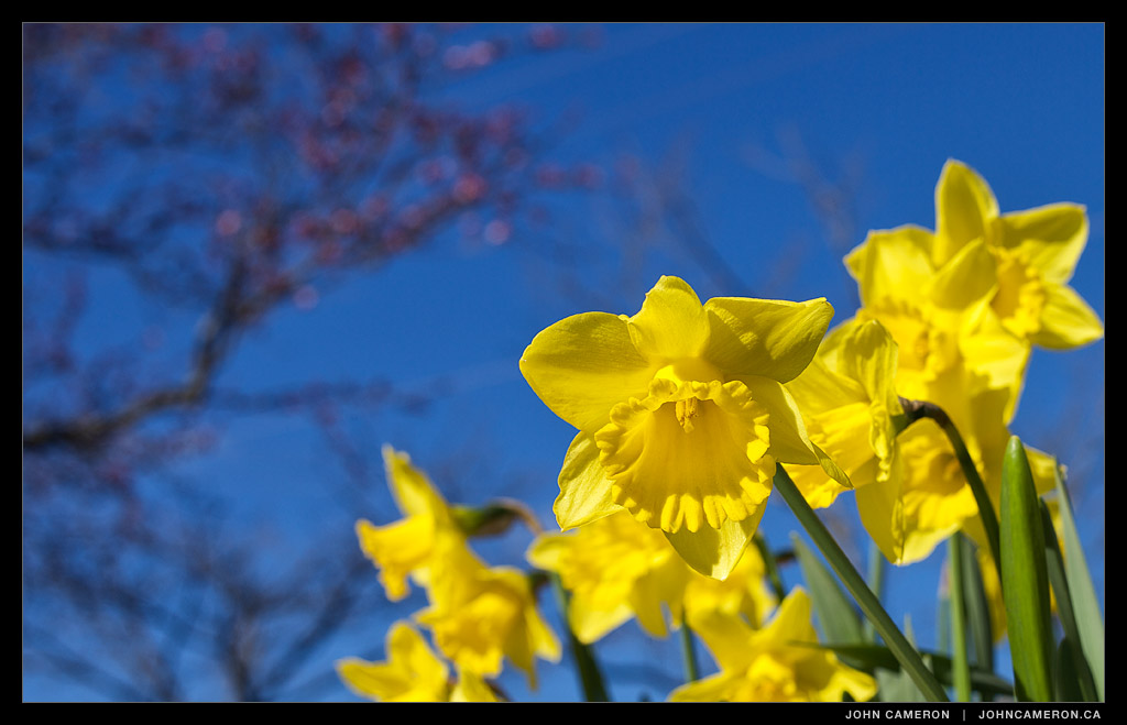 First Day of Spring 2014