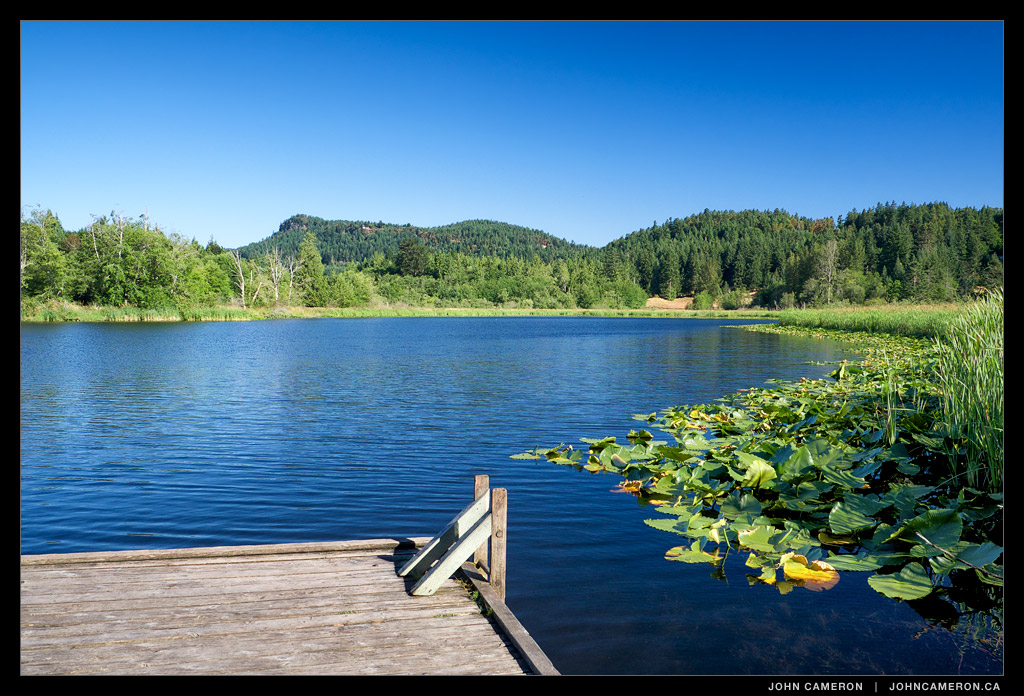 Blackburn Lake, a summer Morning