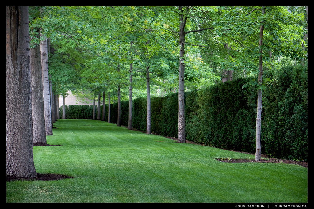 Mission Hill Grounds