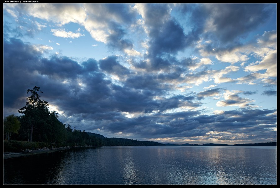 Fernwood Sky